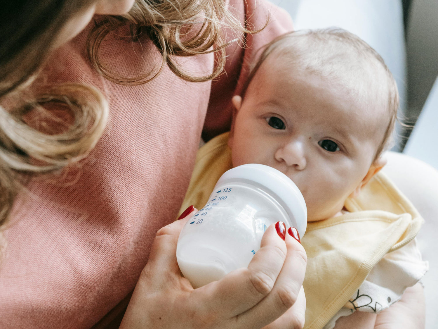 Everything You Need to Know Bottle Warmers