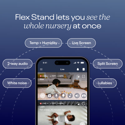 The Traveling Monitor Bundle