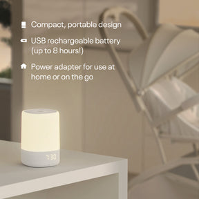 Does nanit work hot sale with google home