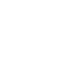 zz icon