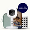 The Traveling Monitor Bundle